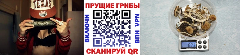 Галлюциногенные грибы Magic Shrooms  где найти наркотики  маркетплейс наркотические препараты  Гусь-Хрустальный 